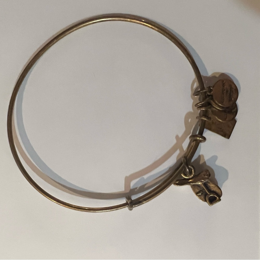 Alex and Ani English Saddle